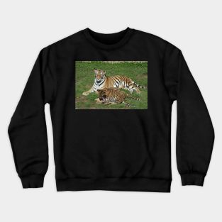 Tiger Mom and Cubs Crewneck Sweatshirt